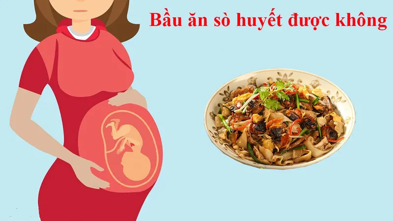 alt text: Sò huyết tươi sống, giàu dinh dưỡng