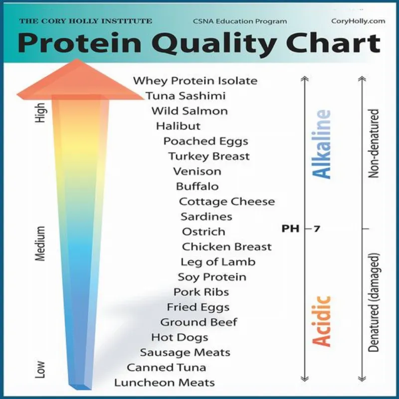 Bảng so sánh protein